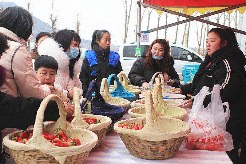 ��ݮ�h��c�´� | ���f�(zh��n)��ɽ�ڲ�ݮ��ժ��Ȥ���������w�(y��n)�e����ζ