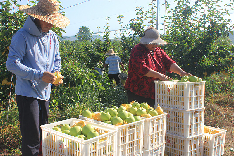 ��óԣ����Ѕ^(q��)ǰ�����@�����@������������