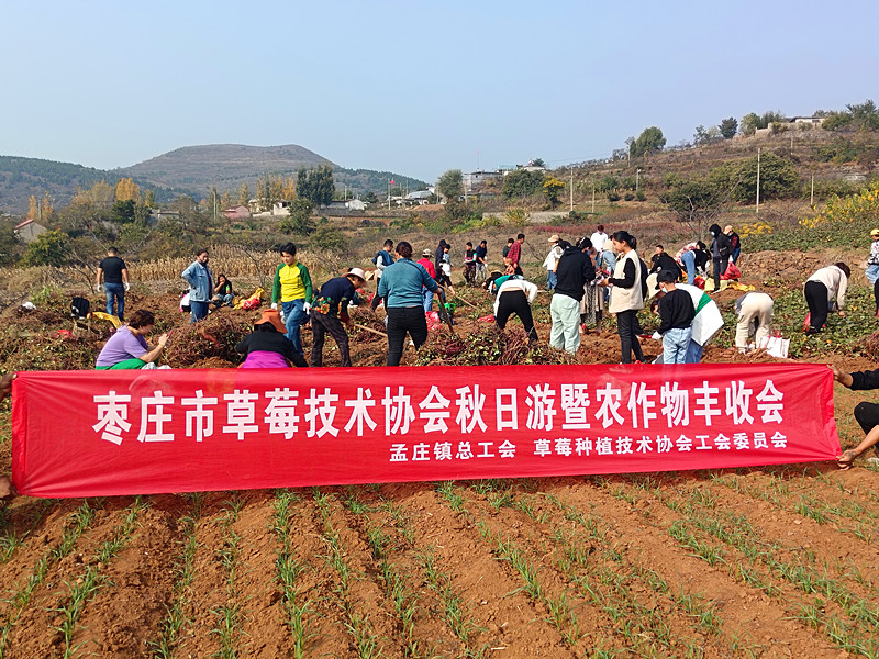 ���Ѕ^(q��)��ݮ�Nֲ���g(sh��)�f(xi��)���_չ��Ȥζ�ڼt�� �����l(xi��ng)�����d�����