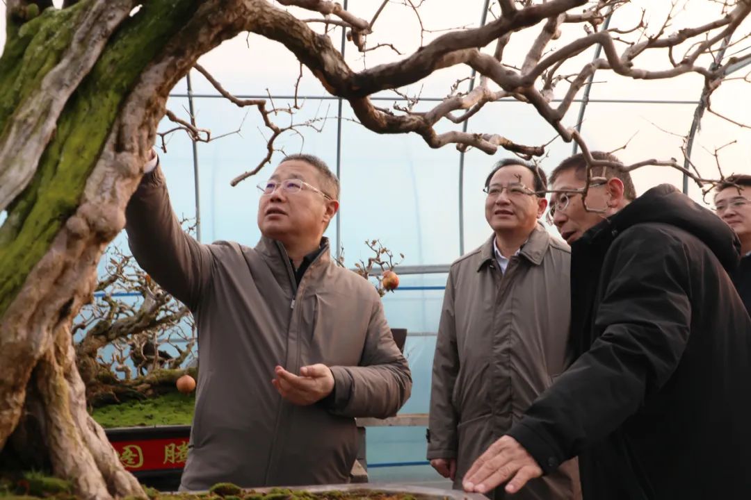 ���f��ί����ӛ������ί��ӛ�����ށ�F�ǅ^(q��)�{(di��o)��ʯ��a(ch��n)�I(y��)�l(f��)չ����